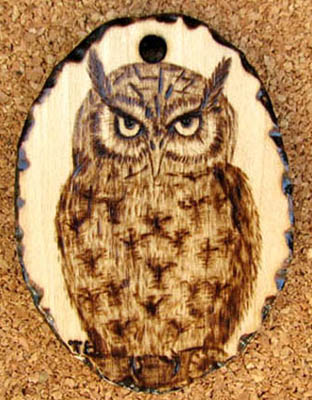 tropical screech owl tanja sova pyrogaphy